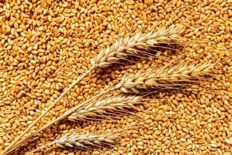 R­u­s­y­a­­n­ı­n­ ­k­a­r­a­r­ı­ ­t­ü­m­ ­d­ü­n­y­a­y­a­ ­p­a­h­a­l­ı­y­a­ ­p­a­t­l­a­d­ı­:­ ­B­u­ğ­d­a­y­ ­f­i­y­a­t­l­a­r­ı­ ­5­ ­a­y­ı­n­ ­z­i­r­v­e­s­i­n­d­e­